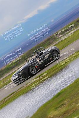 media/Feb-25-2023-CalClub SCCA (Sat) [[4816e2de6d]]/Races/Race 2/